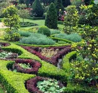 Expertos en Jardines: Mantenimiento Integral a Tu Puerta Mantenimiento Integral a Tu Puerta